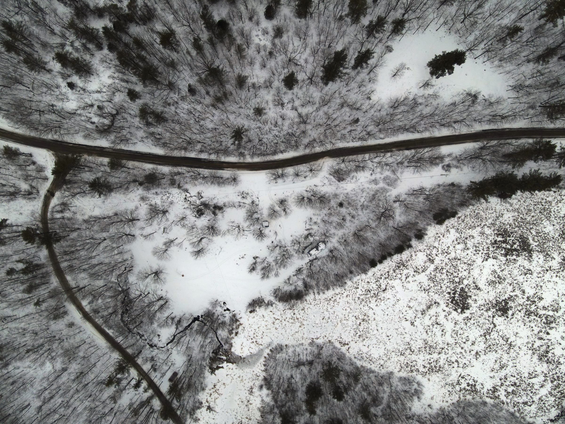 Aerial winter view of Howe Glen showing the triangular property, Craig Road, and surrounding forest