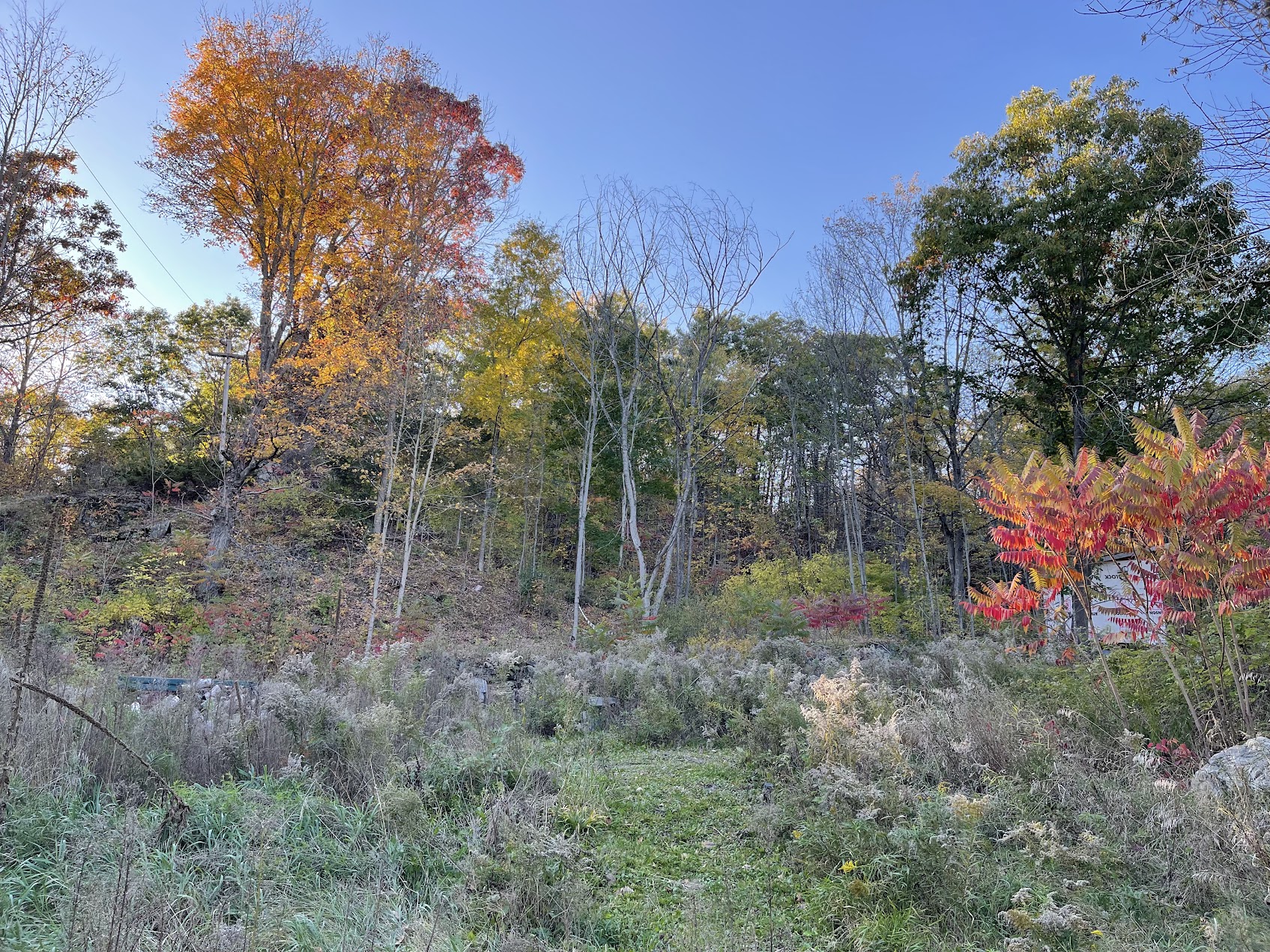 Rock ridge in autumn colours — the dramatic western escarpment of Howe Glen
