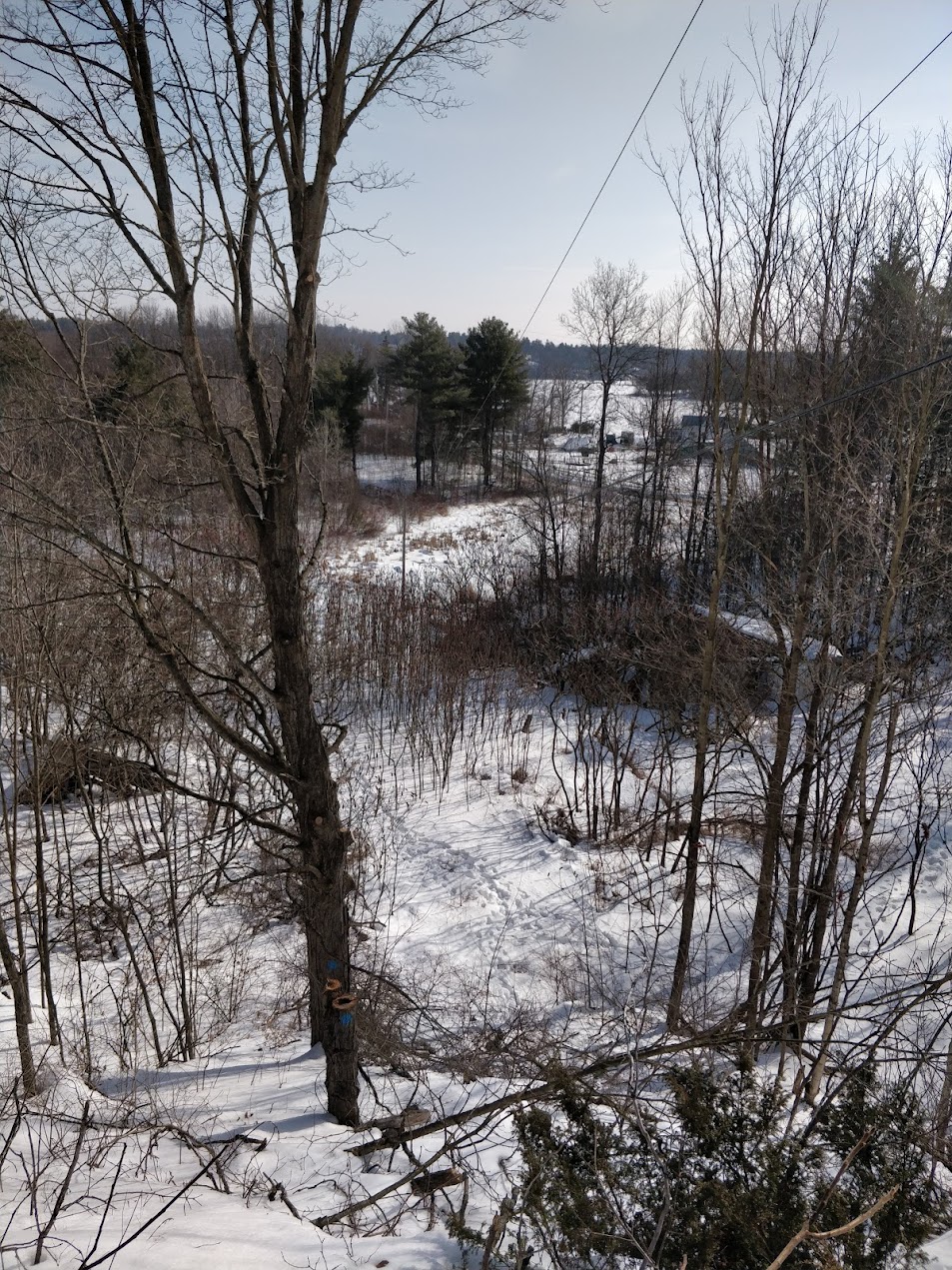 Winter view from the Howe Glen rock ridge looking out over open marshland — illustrating the privacy and open views afforded by the terrain